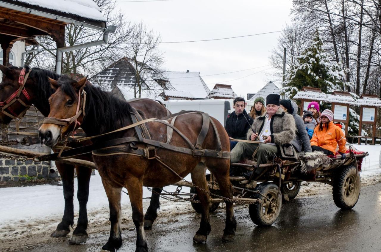 Soare-N Maramures Budfalva Kültér fotó
