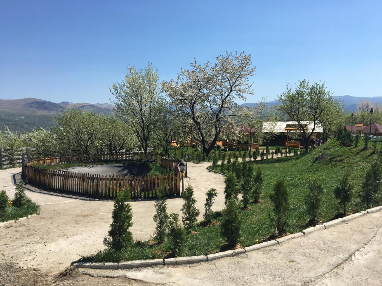 Soare-N Maramures Budfalva Kültér fotó