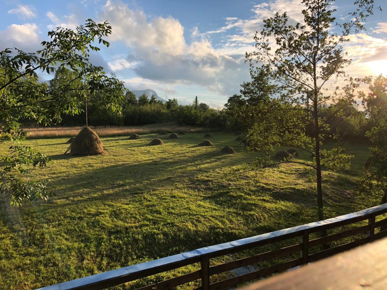 Soare-N Maramures Budfalva Kültér fotó